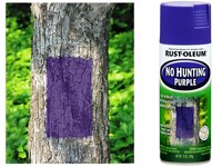 NO HUNTING PURPLE SPRAY PAINT